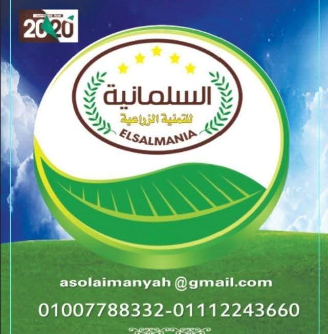 السليمانية